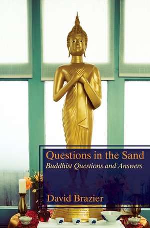 Questions in the Sand de David Brazier