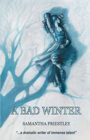 A Bad Winter de Samantha Priestley