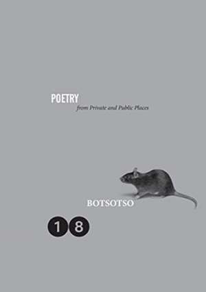 Botsotso 18 de Allan Kolski Horwitz