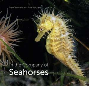 In the Company of Seahorses de Steve Trewhella