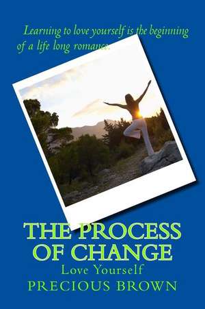 The Process of Change de Sante Brown