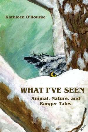 What I've Seen de Kathleen O'Rourke