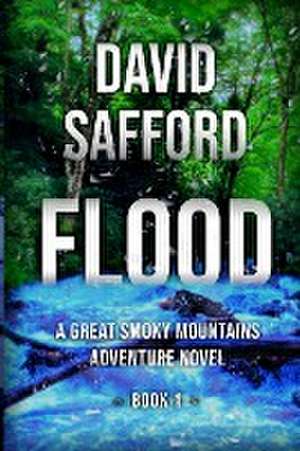 Flood de David Safford