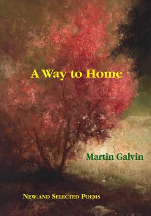 A Way to Home de Martin Galvin