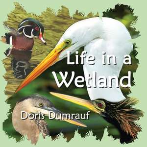 Life In A Wetland de Doris Dumrauf