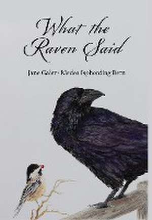 What the Raven Said de Jane Galer