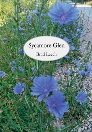 Sycamore Glen de Brad Leech