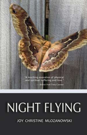 Night Flying de Joy Christine Mlozanowski