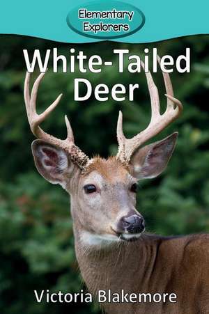 White-Tailed Deer de Victoria Blakemore