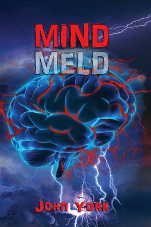 Mind Meld de John York