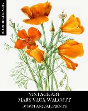Vintage Art de Vintage Revisited Press
