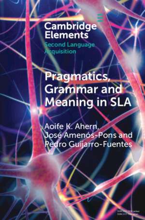 Pragmatics, Grammar and Meaning in Sla de Aoife K Ahern