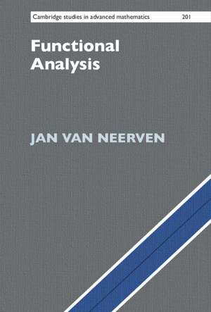 Functional Analysis de Jan van Neerven