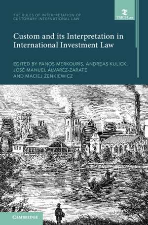 Custom and its Interpretation in International Investment Law: Volume 2 de Panos Merkouris