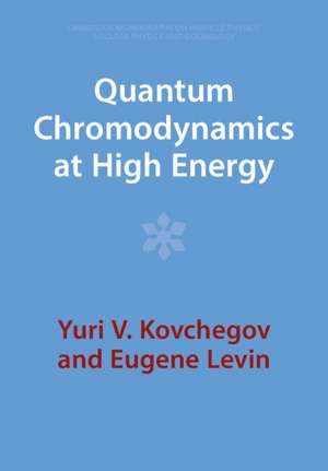 Quantum Chromodynamics at High Energy de Yuri V. Kovchegov