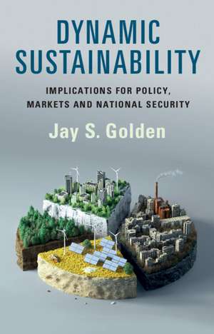 Dynamic Sustainability de Jay S Golden