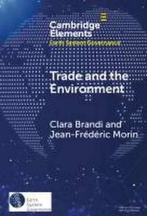 Trade and the Environment de Clara Brandi