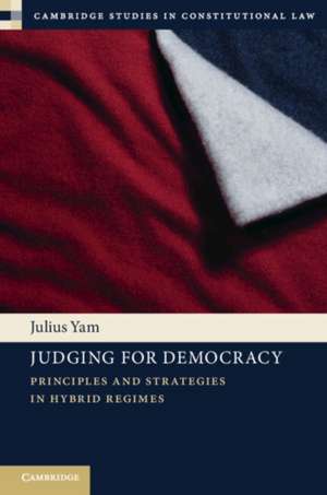 Judging for Democracy de Julius Yam