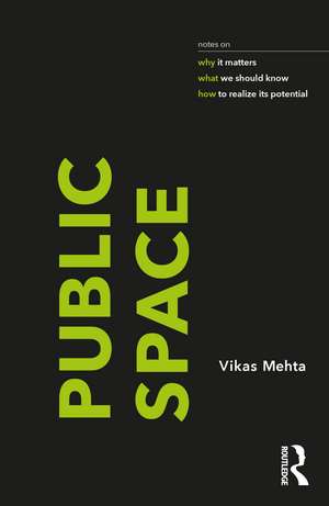 Public Space: notes on why it matters, what we should know, and how to realize its potential de Vikas Mehta