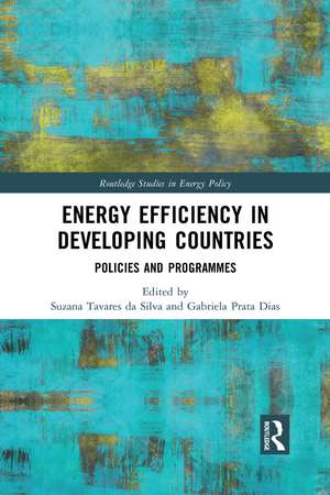 Energy Efficiency in Developing Countries: Policies and Programmes de Suzana Tavares da Silva