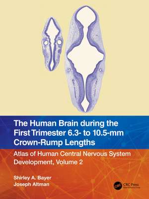 The Human Brain during the First Trimester 6.3- to 10.5-mm Crown-Rump Lengths: Atlas of Human Central Nervous System Development, Volume 2 de Shirley A. Bayer