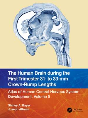 The Human Brain during the First Trimester 31- to 33-mm Crown-Rump Lengths: Atlas of Human Central Nervous System Development, Volume 5 de Shirley A. Bayer