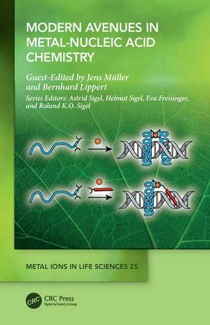 Modern Avenues in Metal-Nucleic Acid Chemistry de Jens Müller