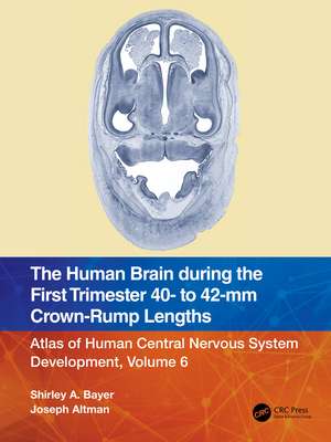 The Human Brain during the First Trimester 40- to 42-mm Crown-Rump Lengths: Atlas of Human Central Nervous System Development, Volume 6 de Shirley A. Bayer