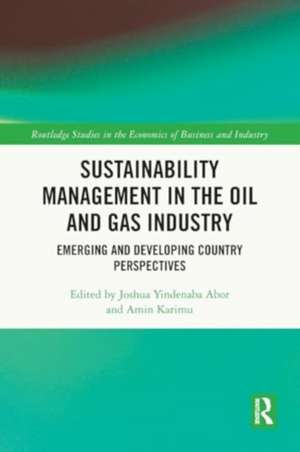 Sustainability Management in the Oil and Gas Industry: Emerging and Developing Country Perspectives de Joshua Yindenaba Abor