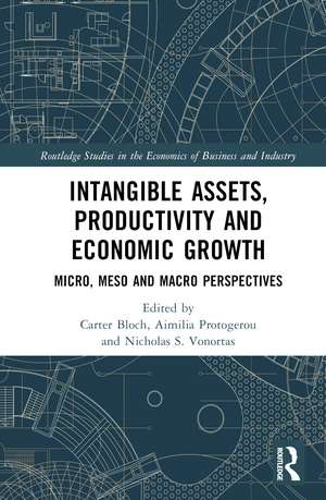 Intangible Assets, Productivity and Economic Growth: Micro, Meso and Macro Perspectives de Carter Bloch