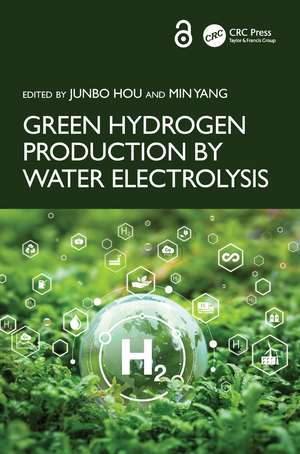 Green Hydrogen Production by Water Electrolysis de Junbo Hou