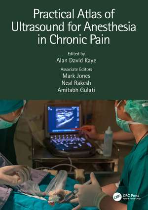 Practical Atlas of Ultrasound for Anesthesia in Chronic Pain de Alan Kaye