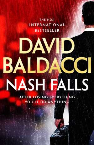 Nash Falls de David Baldacci