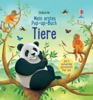 Mein erstes Pop-up-Buch: Tiere