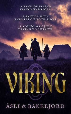 Viking de Ole Asli