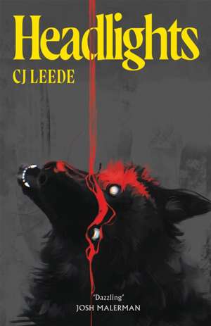 Headlights de Cj Leede