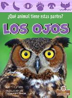 Los Ojos (Eyes) de Amy Culliford