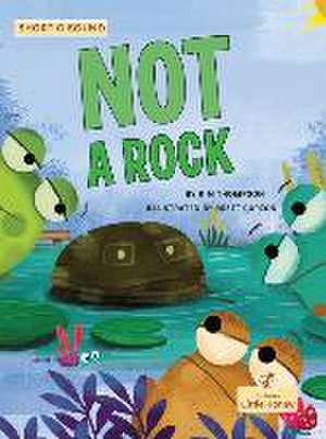 Not a Rock de Kim Thompson