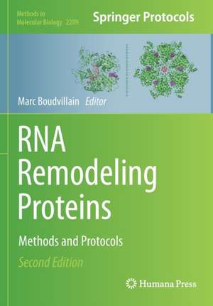 RNA Remodeling Proteins: Methods and Protocols de Marc Boudvillain