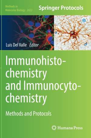 Immunohistochemistry and Immunocytochemistry: Methods and Protocols de Luis Del Valle