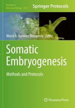 Somatic Embryogenesis: Methods and Protocols de Marco A. Ramírez-Mosqueda