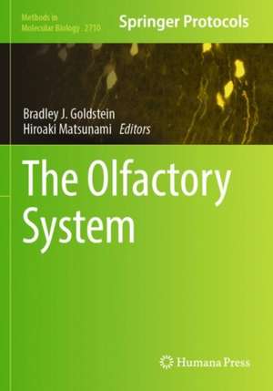 The Olfactory System de Bradley J. Goldstein