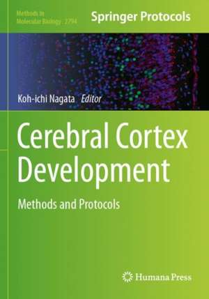 Cerebral Cortex Development de Koh-Ichi Nagata