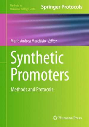 Synthetic Promoters: Methods and Protocols de Mario Andrea Marchisio