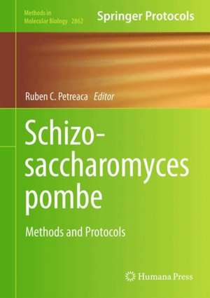 Schizosaccharomyces pombe: Methods and Protocols de Ruben C. Petreaca