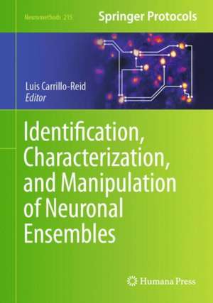 Identification, Characterization, and Manipulation of Neuronal Ensembles de Luis Carrillo-Reid