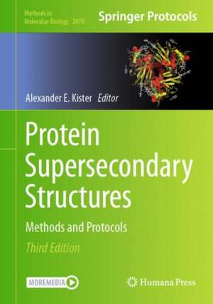 Protein Supersecondary Structures de Alexander E Kister