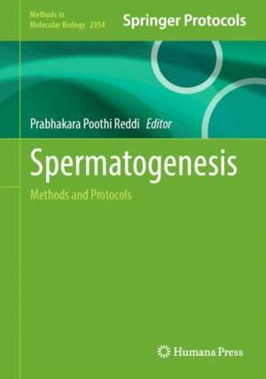 Spermatogenesis de Prabhakara P. Reddi