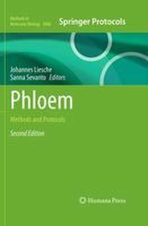 Phloem de Johannes Liesche