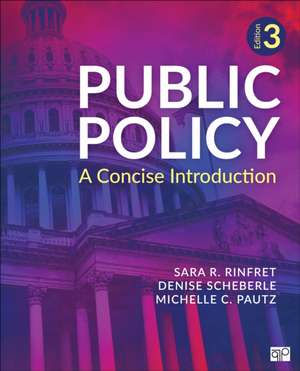 Public Policy de Denise L. Scheberle